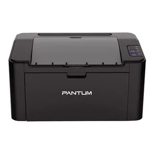 Замена памперса на принтере Pantum P2207 в Волгограде